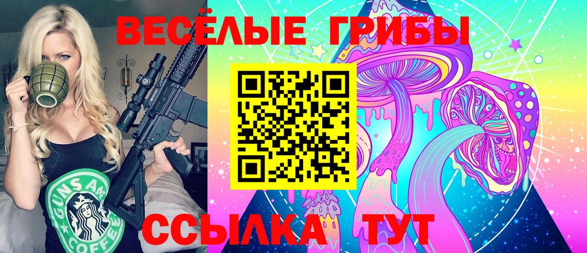 МЕФ Новороссийск