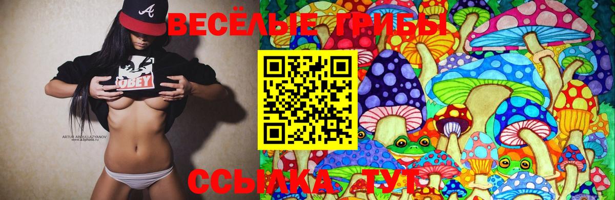 наркота  Галлюциногенные грибы Cubensis  Псилоцибиновые грибы Cubensis  Вход с VPN  Новороссийск 